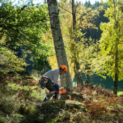 MOTOSIERRA HUSQVARNA 450S - SUMINISTROS CAMARA