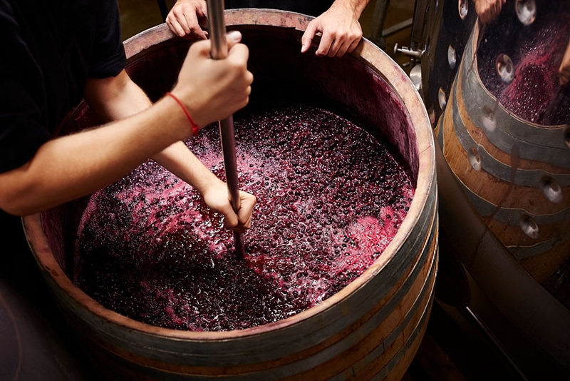 maceración del vino tras la fermentación alcohólica durante el proceso de elaboración del vino