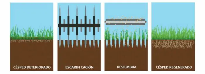 escarifiacion de cesped