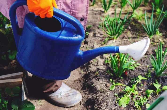 como-preparar-el-suelo-cultivo