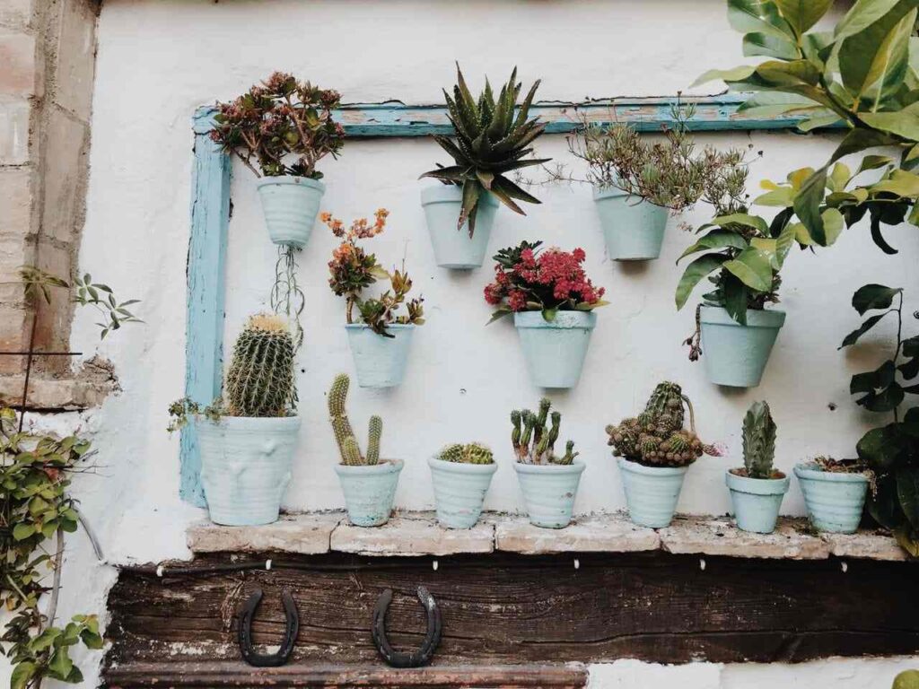 cuidar-plantas-vacaciones