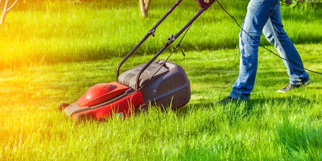 categoria cortacesped