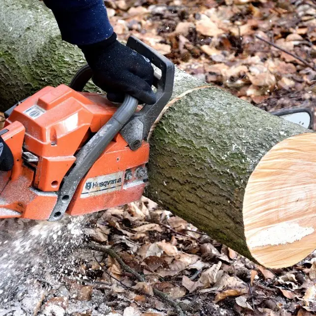 categoria motosierras