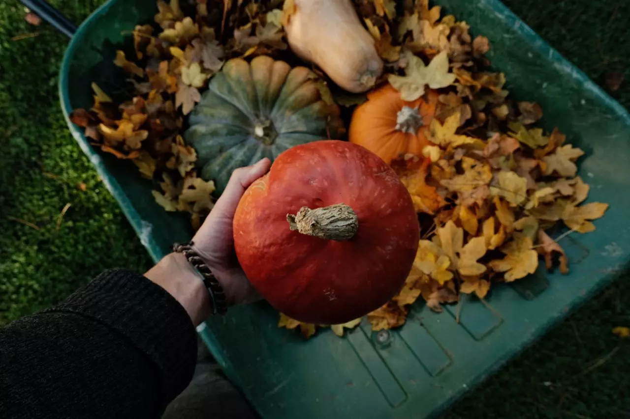 Productos del campo para invierno