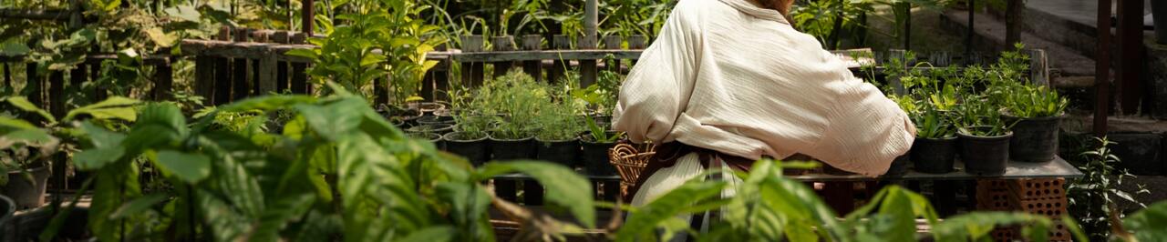 Compra todo lo necesario y prepara tu huerta, jardín y terraza